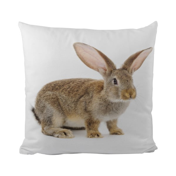 Poduszka
  This Bunny, 50x50 cm