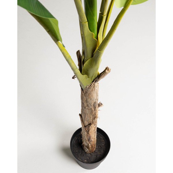 Sztuczna palma (wysokość 160 cm) Baa – Kave Home-image-2