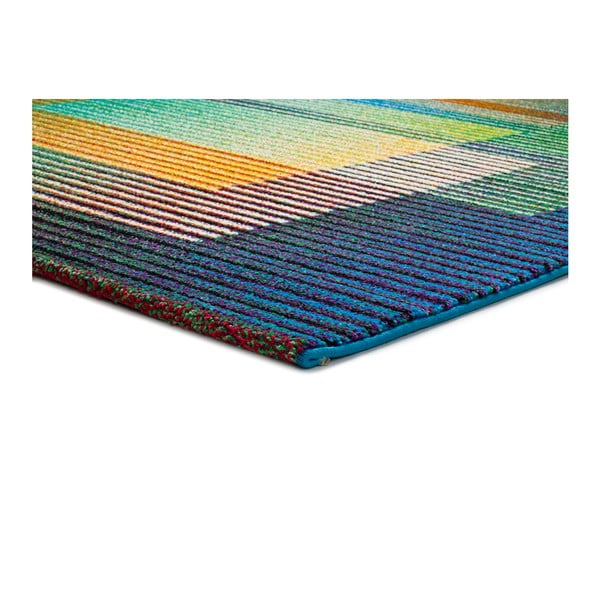 Dywan Universal Gio Asombroso, 120x170 cm-image-2
