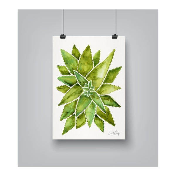 Plakat Americanflat Aloevera by Cat Coquillette, 30x42 cm