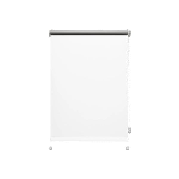 Biała roleta 42,5x150 cm Mini Termo – Gardinia