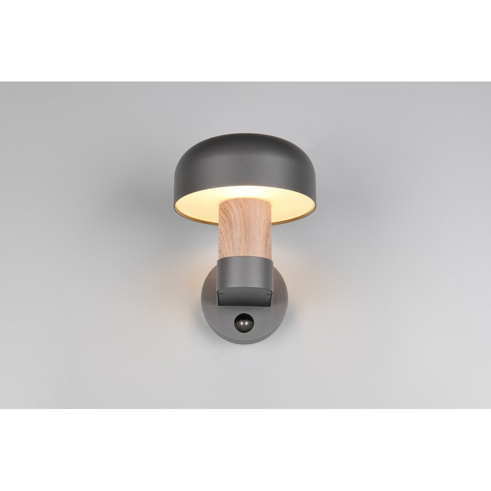 Zewnętrzna lampa ścienna (wysokość 24,5 cm) Fraser – Trio (zdjęcie 5)