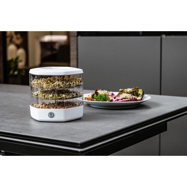 Plastikowa miska do kiełkowania ø 17 cm Mungo – Flower Lover-image-1