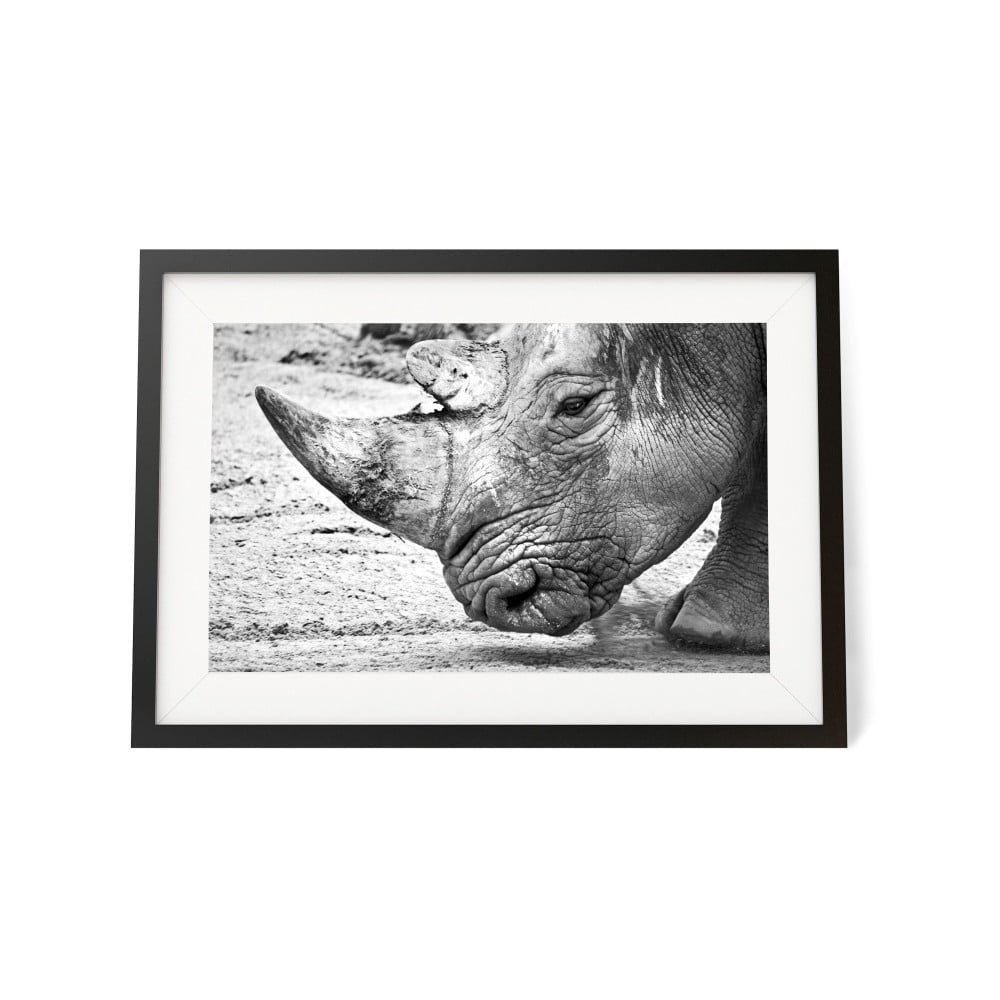 Plakat w ramie We Love Home Rhinoceros, 30x40 cm
