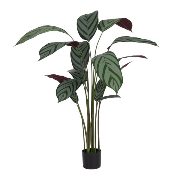Sztuczna roślina (wysokość 150 cm) Calathea – Ixia