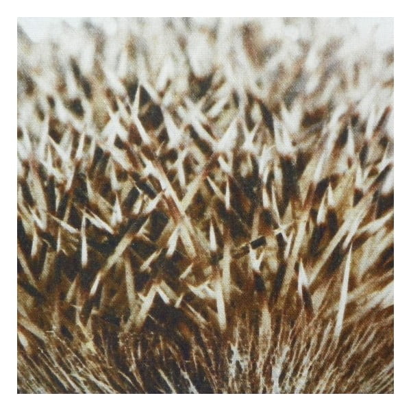 Poduszka Winter Hedgehog 50x50 cm-image-2