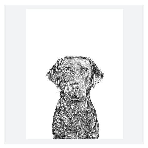 Plakat Max the Labrador, 30x40 cm