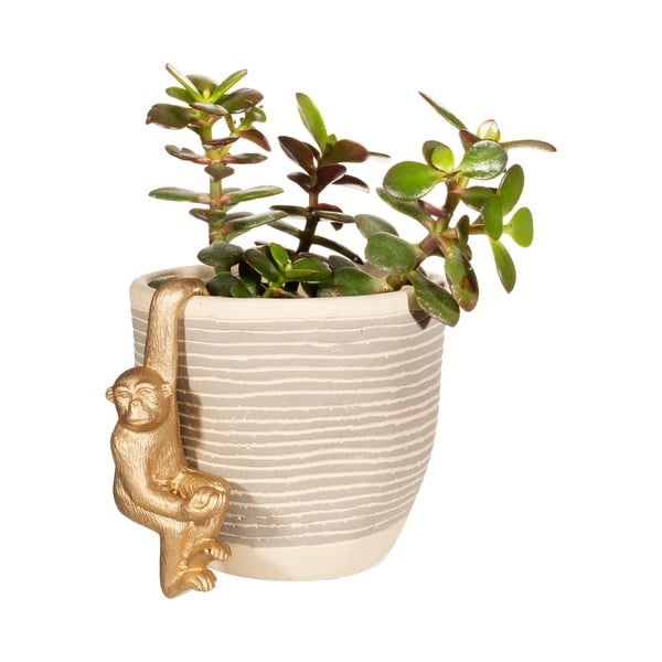 Mała dekoracja z żywicy polimerowej Monkey – Sass & Belle-image-2