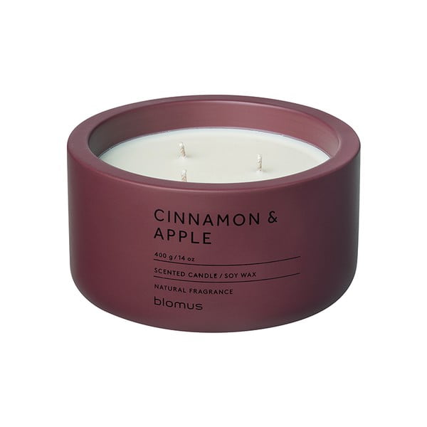 Zapachowa sojowa świeca czas palenia 25 h Fraga: Cinnamon & Apple – Blomus