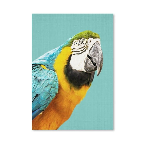 Plakat Tropical Parrot