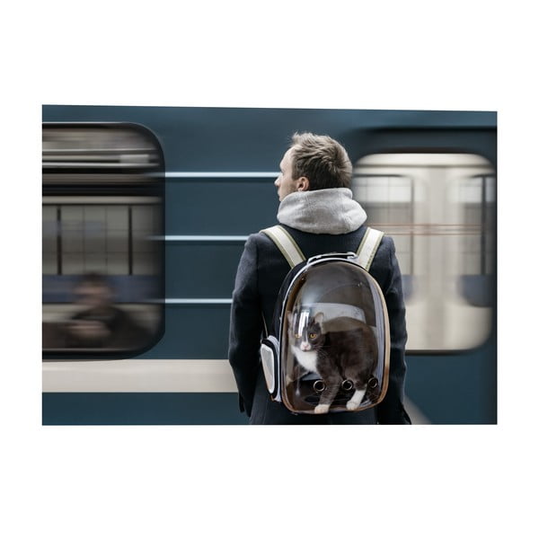 Torba transportowa dla czworonoga 28x33 cm – Love Story-image-3