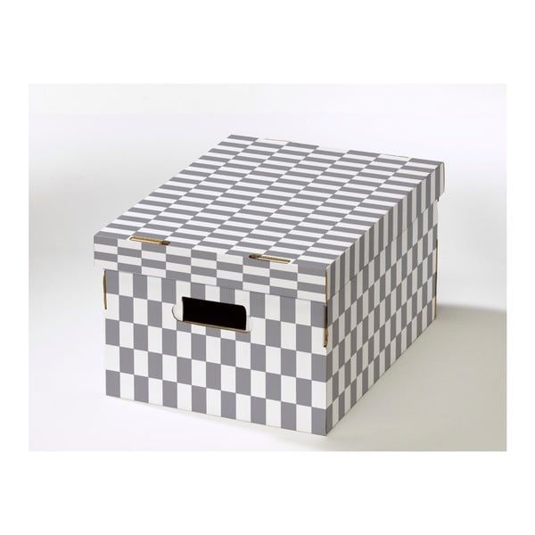 Zestaw 2 pudełek z pokrywką Compactor Lenny, 40x31x21 cm