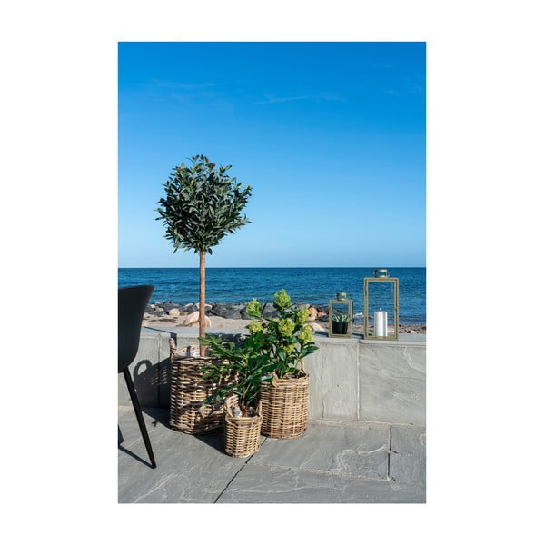 Sztuczna roślina (wysokość 60 cm) Fig – House Nordic-image-3