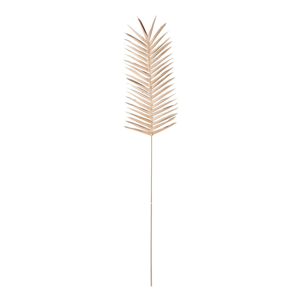 Dekoracja w kształcie liścia palmy Bloomingville Oda, dł. 100 cm