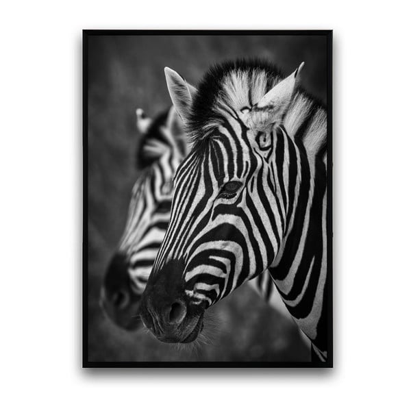 Plakat w drewnianej ramie Zebra