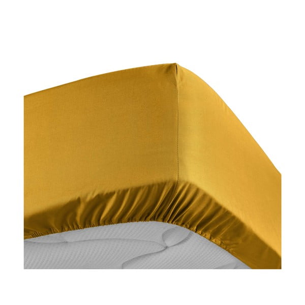 Żółte prześcieradło z perkalu bawełnianego z gumką 180x200 cm Percaline – douceur d'intérieur-image-3