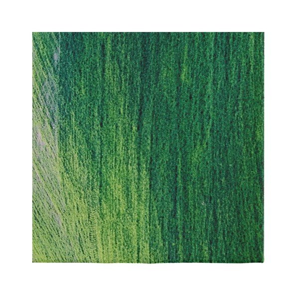 Zielony dywan Oyo home Suzzo Garto, 80x150 cm-image-1