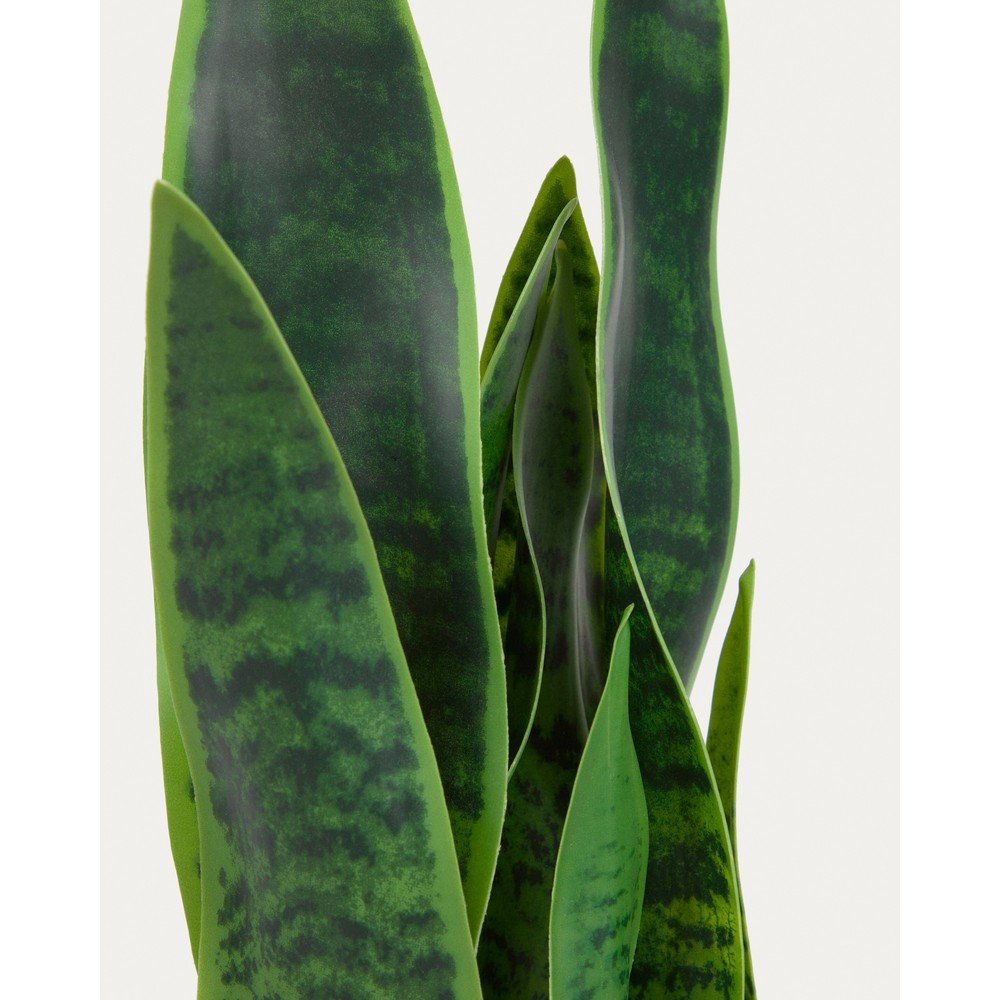 Sztuczna roślina (wysokość 55 cm) Sansevieria – Kave Home (zdjęcie 4)