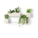 Plastikowe doniczki wiszące na zioła zestaw 4 szt. Cubiko – Umbra