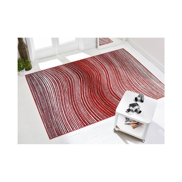 Dywan Webtappeti Estro Rojo, 160x230 cm
