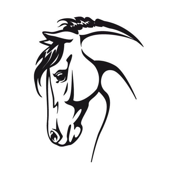 Naklejka Ambiance Horse-image-2