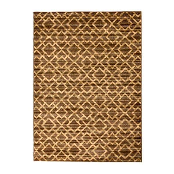 Brązowy wytrzymały dywan Floorita Inspiration Garro, 165x235 cm