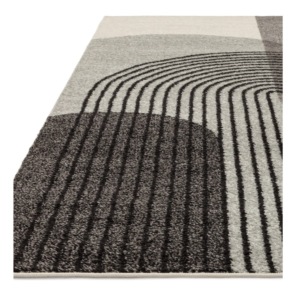 Dywan szary 170x120 cm Muse - Asiatic Carpets (zdjęcie 3)
