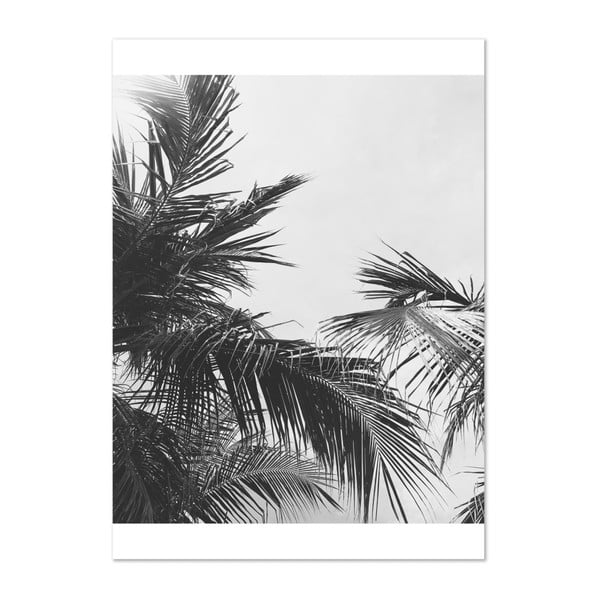 Plakat HF Living Botanic Palm, 50x70 cm