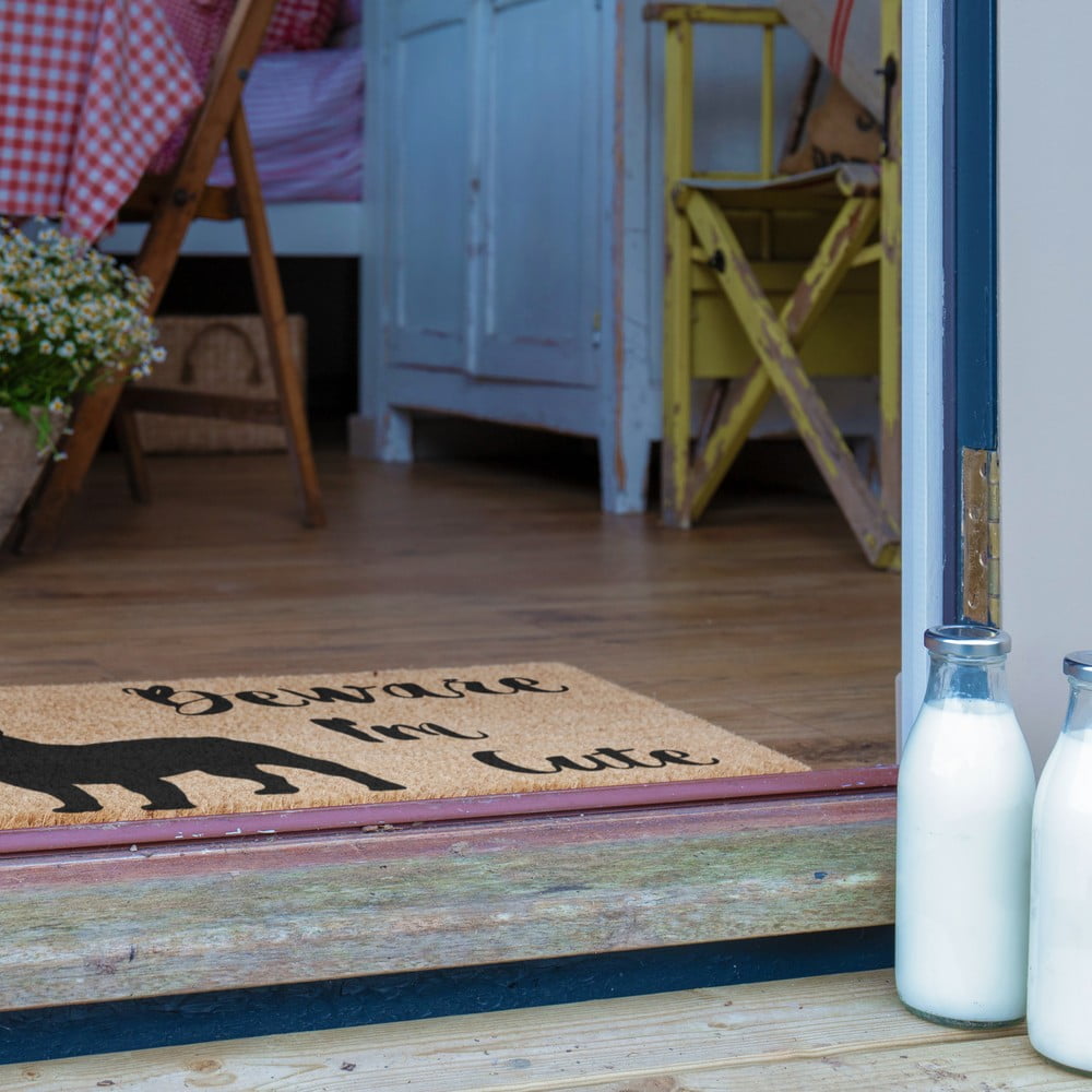 Wycieraczka z włókna kokosowego 40x60 cm Beware I'm Cute French Bulldog – Artsy Doormats (zdjęcie 8)