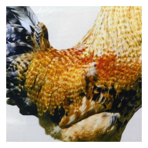 Poduszka Rooster 50x50 cm-image-2