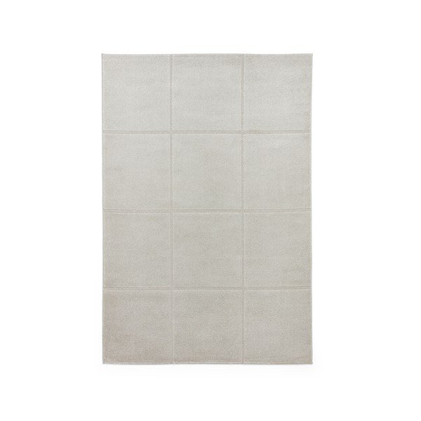 Jasnoszary dywan 120x170 cm Elio Silver – Think Rugs