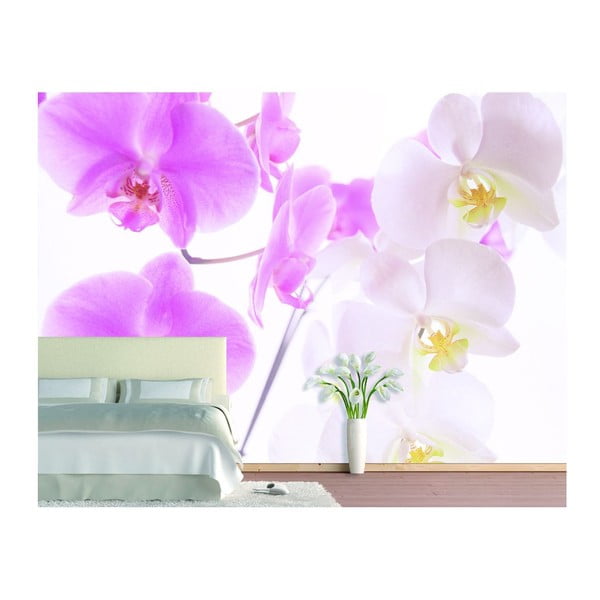 Fototapeta Graceful Orchids, 400x280 cm