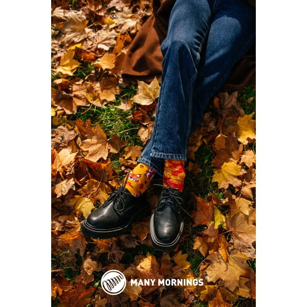 Skarpetki Many Mornings The Squirrels, rozm. 35-38-image-2