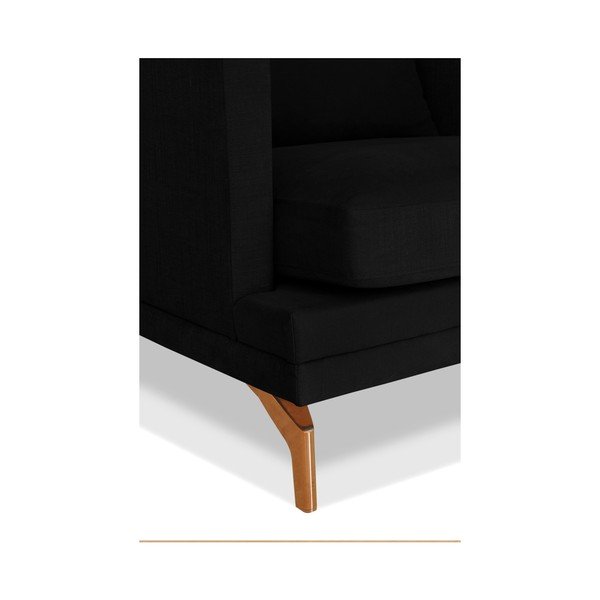Czarny fotel Windsor  & Co. Sofas Jupiter-image-2
