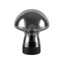 Szara lampa stołowa LED ze szklanym kloszem (wysokość 18 cm) Dooley – Reality