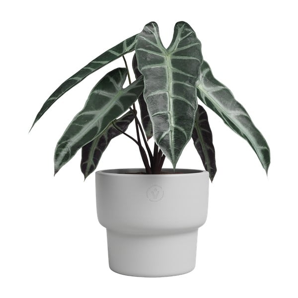 Ceramiczna ręcznie wykonana doniczka ø 17 cm Echo – Artevasi-image-1