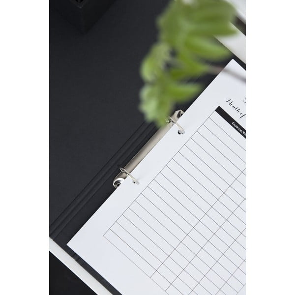 Kartonowy segregator na dokumenty Ringo – Bigso Box of Sweden-image-1