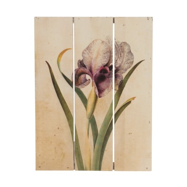 Drewniany obraz Dijk Natural Collections Orchid, 19x25 cm