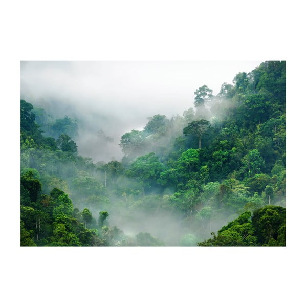 Tapeta wielkoformatowa Bimago Morning Fog, 400x280 cm