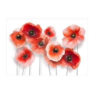 Tapeta wielkoformatowa Artgeist Nine Poppies, 200x140 cm