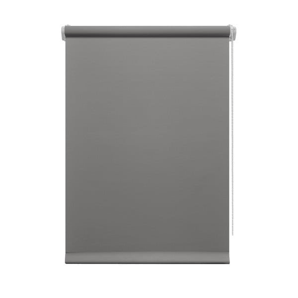 Ciemnoszara roleta 42,5x150 cm Mini Relax – Gardinia