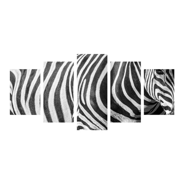 Wieloczęściowy obraz Black&White Zebra, 100x50 cm