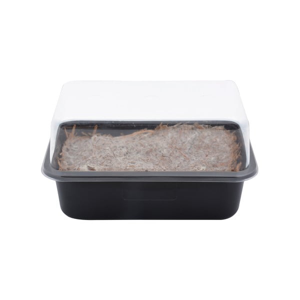 Akcesorium do uprawiania Field Mushroom – Esschert Design-image-3