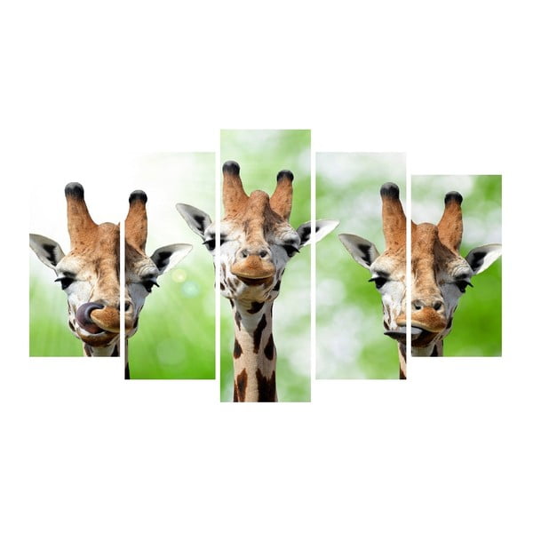 Wieloczęściowy obraz na płótnie Animal Giraffe