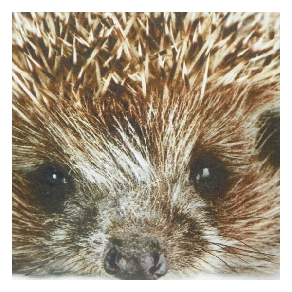 Poduszka Winter Hedgehog 50x50 cm-image-1