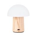 Naturalna lampa stołowa ze ściemniaczem i szklanym kloszem (wys. 13 cm) Alice – Gingko