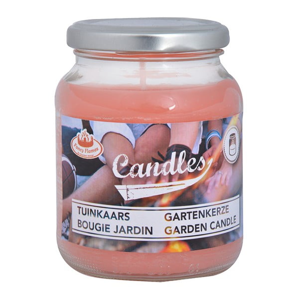 Zestaw 4 świeczek ogrodowych w słoiku Esschert Design Garden, 36 h palenia-image-2