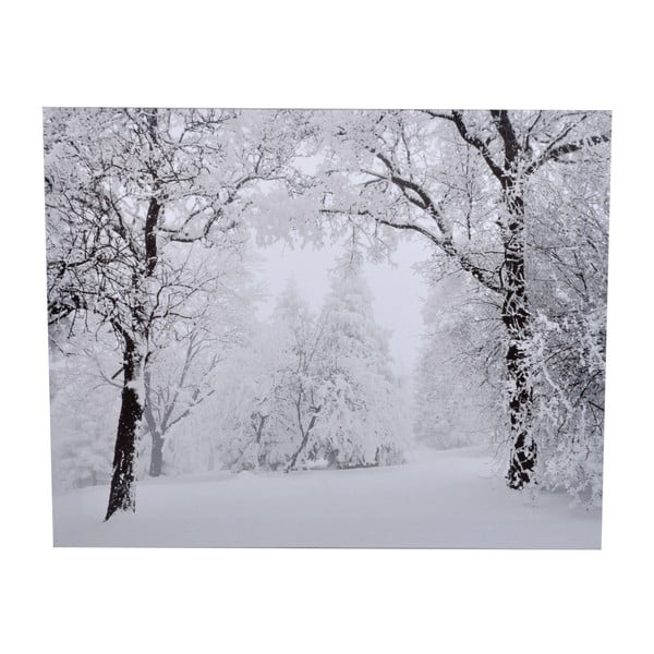 Obraz Ewax Snowy Nature, 40x50 cm