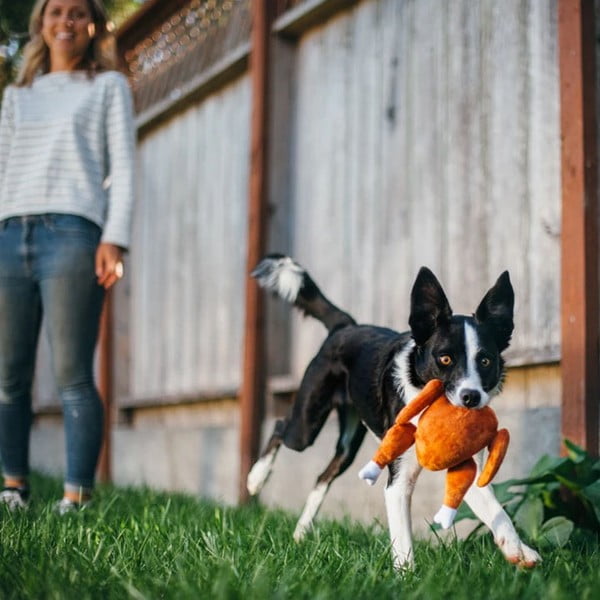 Zabawka dla psa Indyk – P.L.A.Y.-image-1