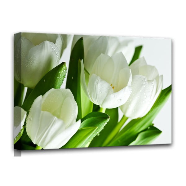 Obraz Styler Canvas White Tulips, 60x80 cm
